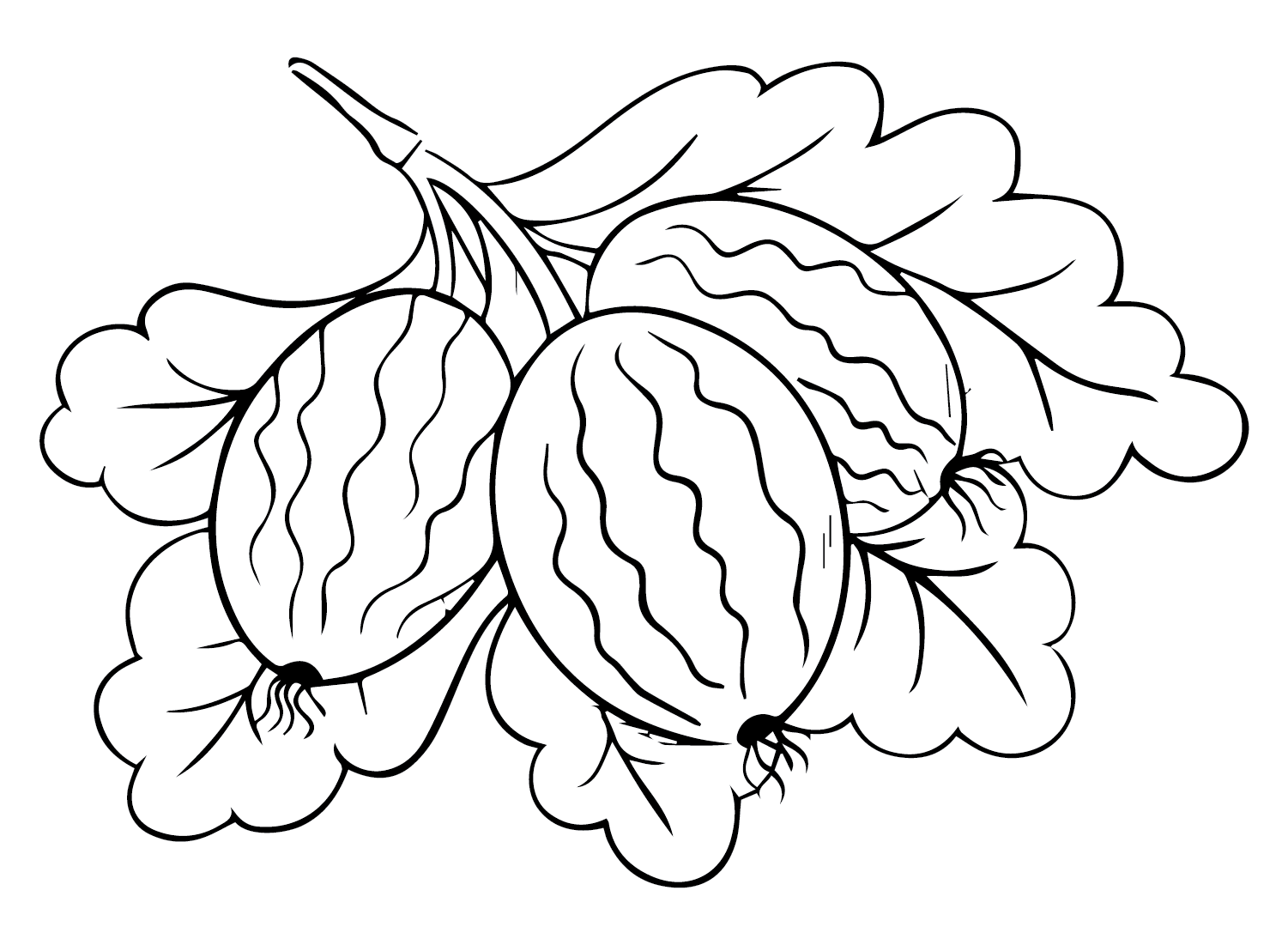 Gooseberry Patch Coloring Page