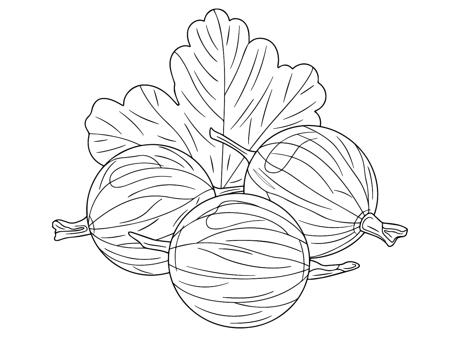 Gooseberry for Kids Coloring Page
