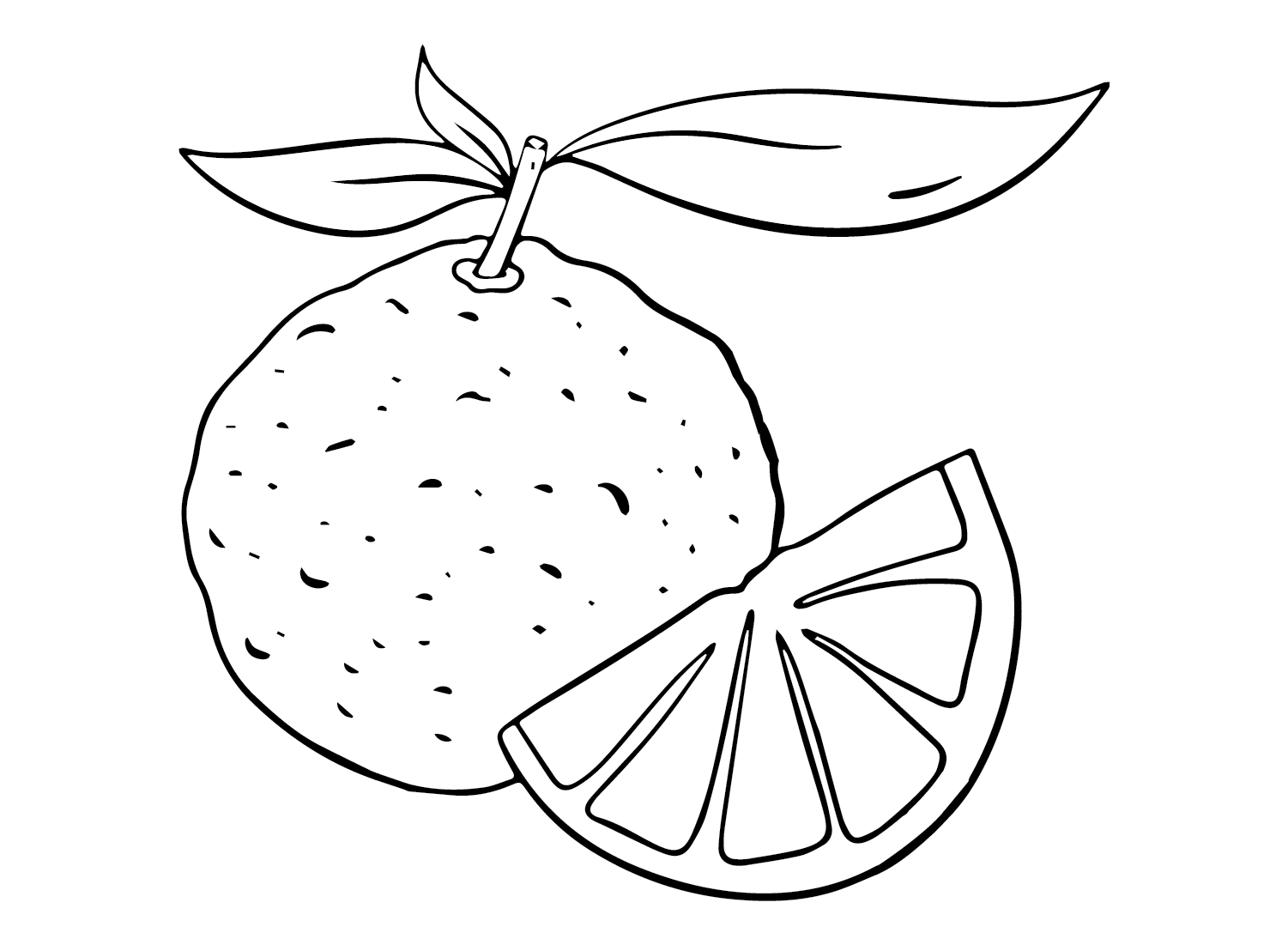Pomelo Drawing Coloring Page