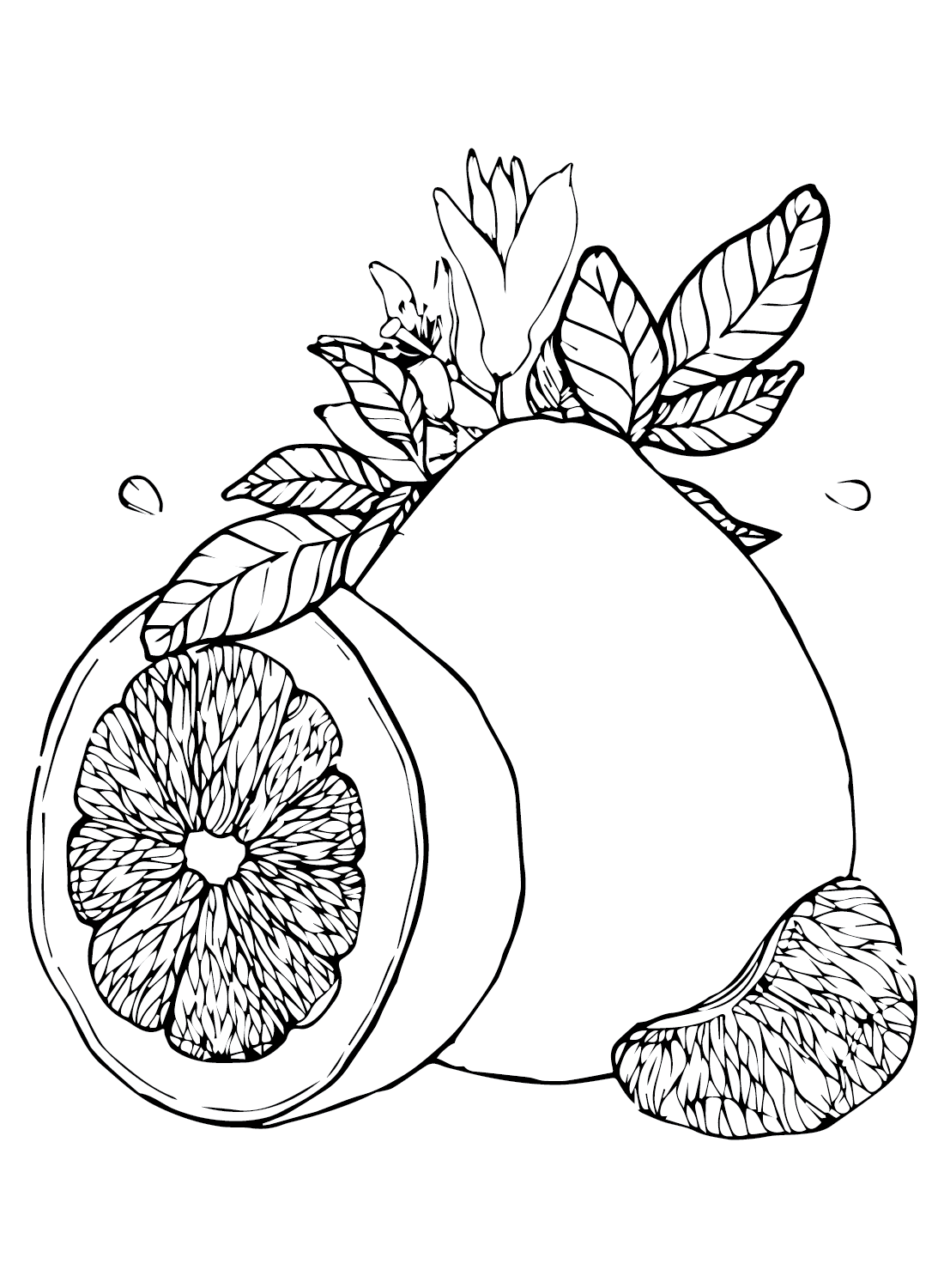 Pomelo Pictures Coloring Page