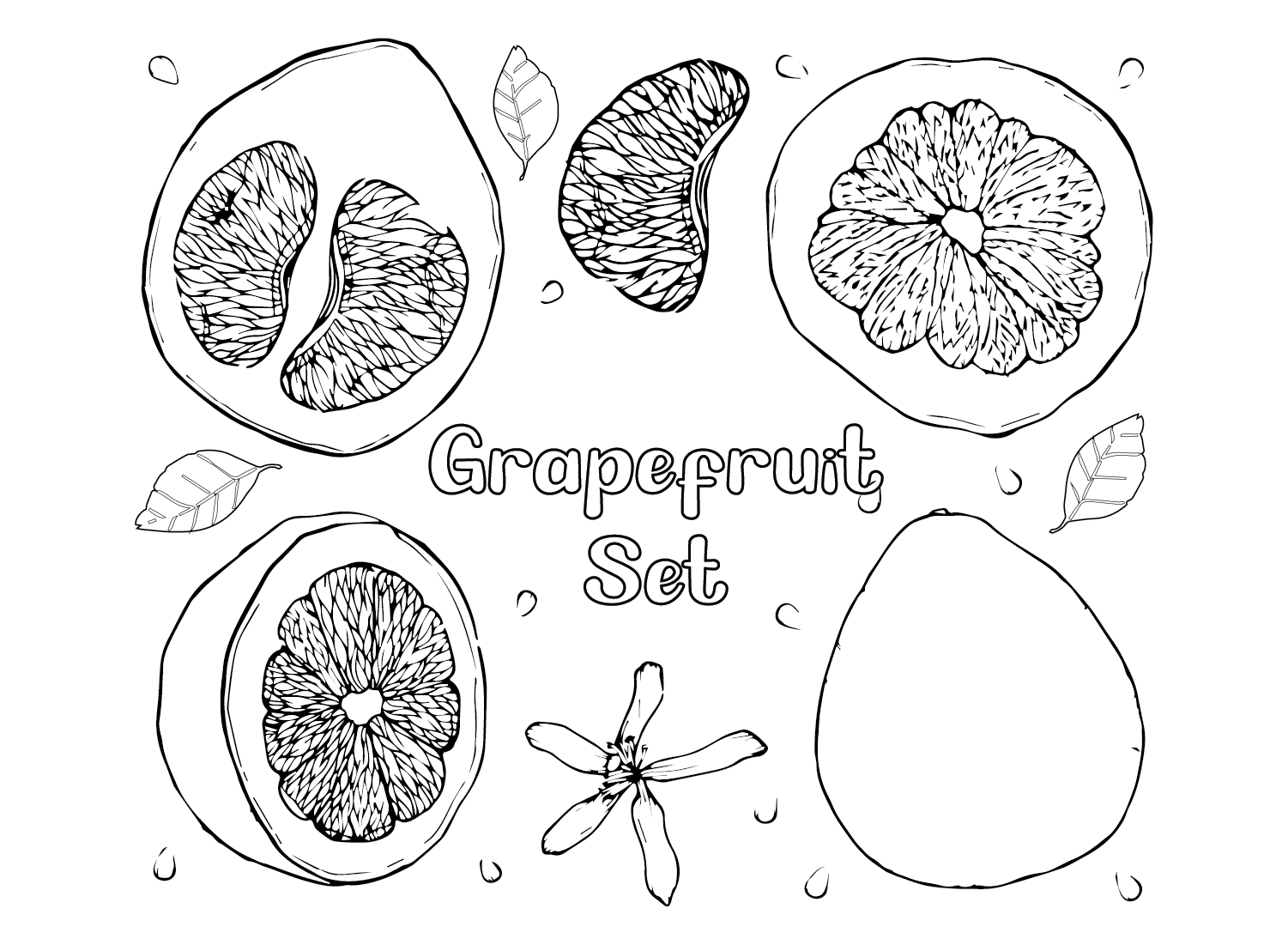 Grapefruit Set Coloring Page