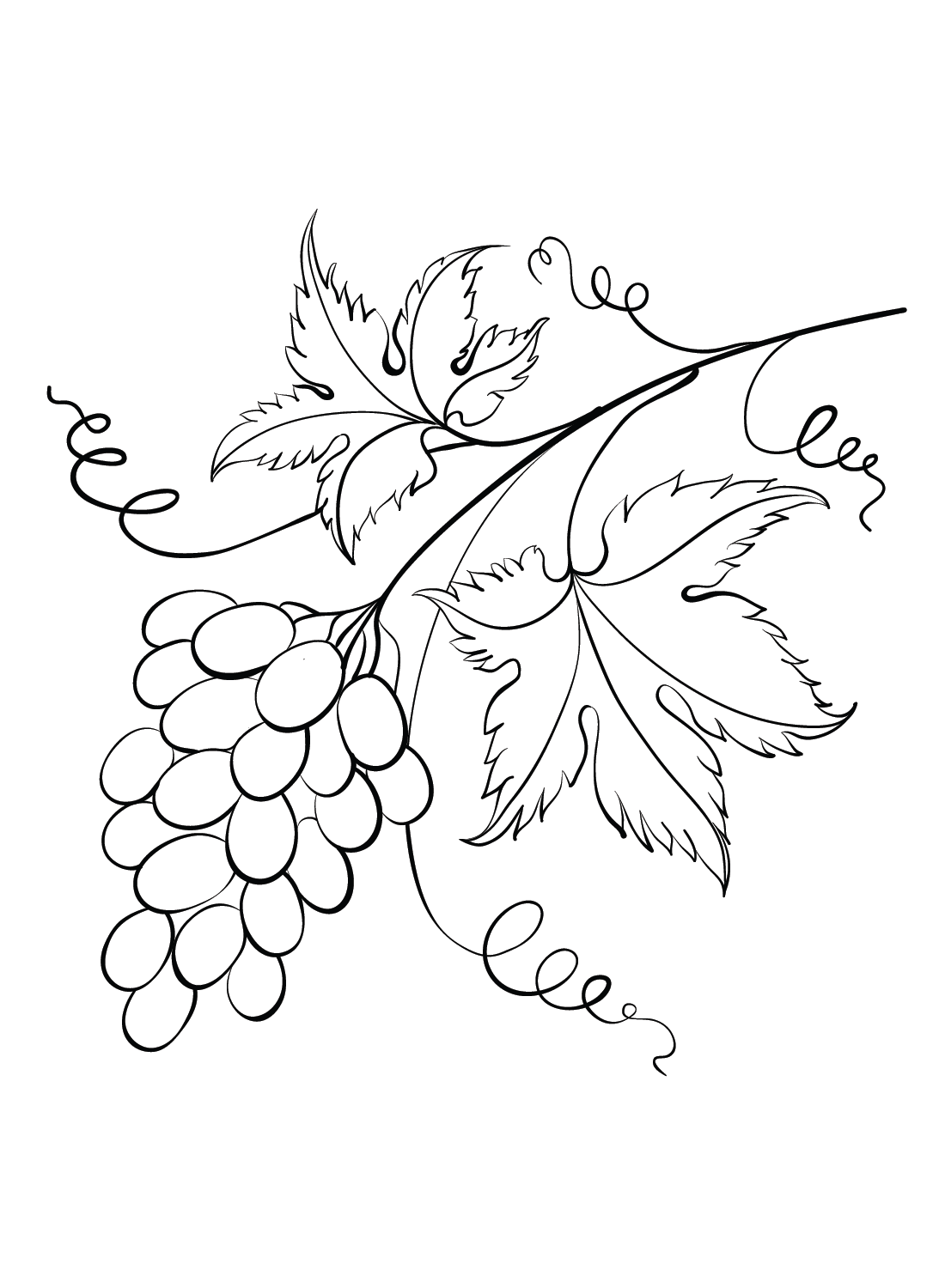 Grapes for Kids Coloring Page