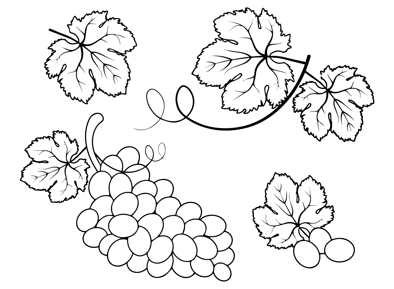 Uvas para imprimir de uvas