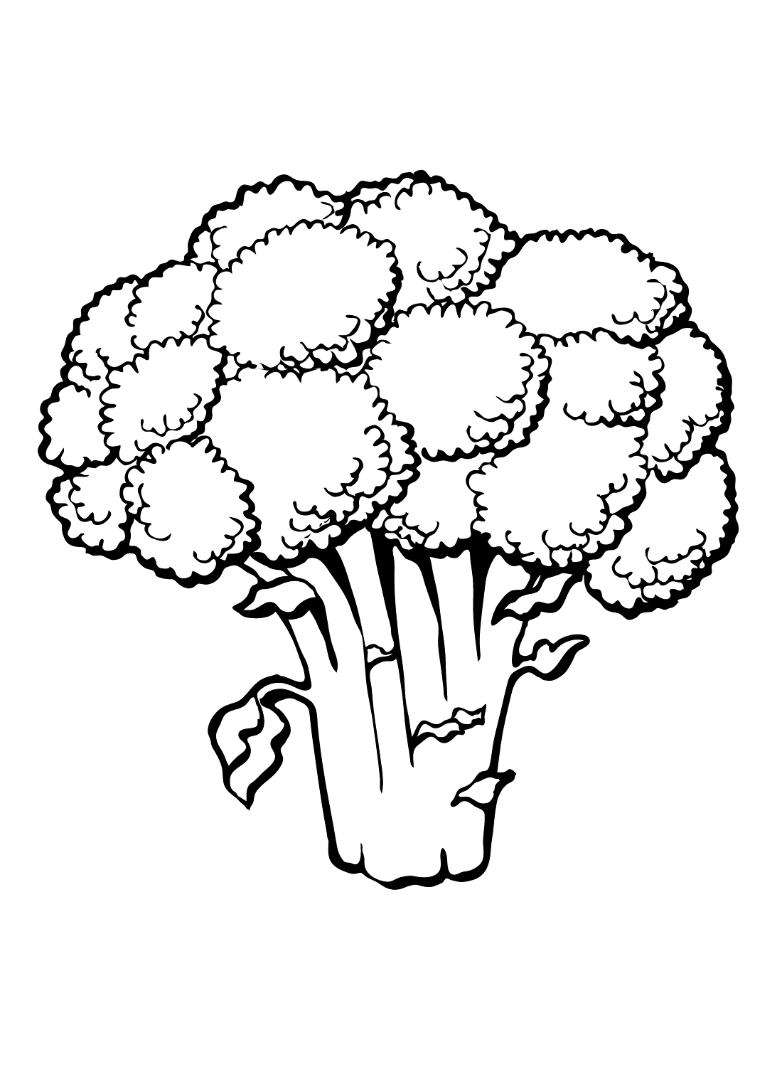 Broccoli verdi Immagini da Broccoli