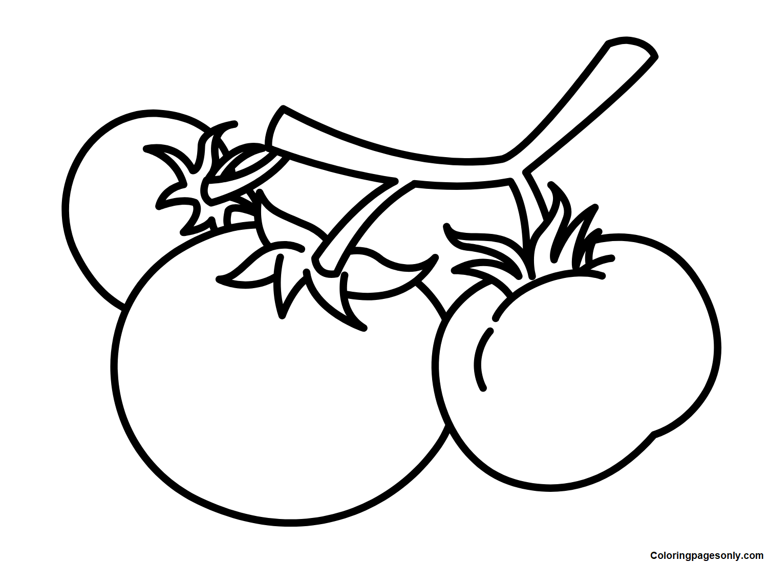 Green Tomatoes Coloring Pages