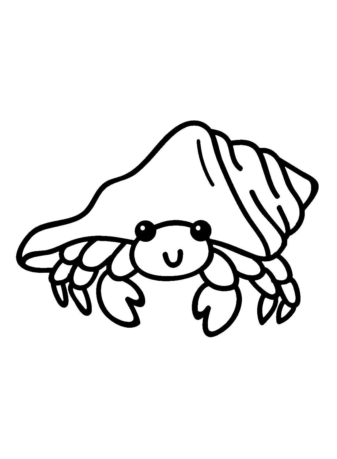 Hermit Crab Crustacean from Hermit Crab