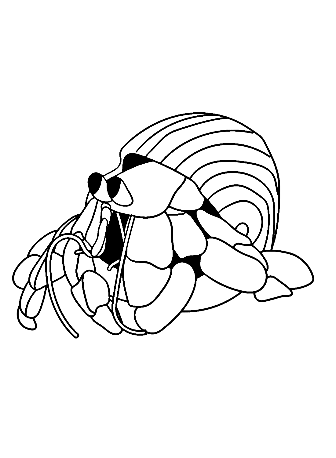 Hermit Crab Underwater from Hermit Crab