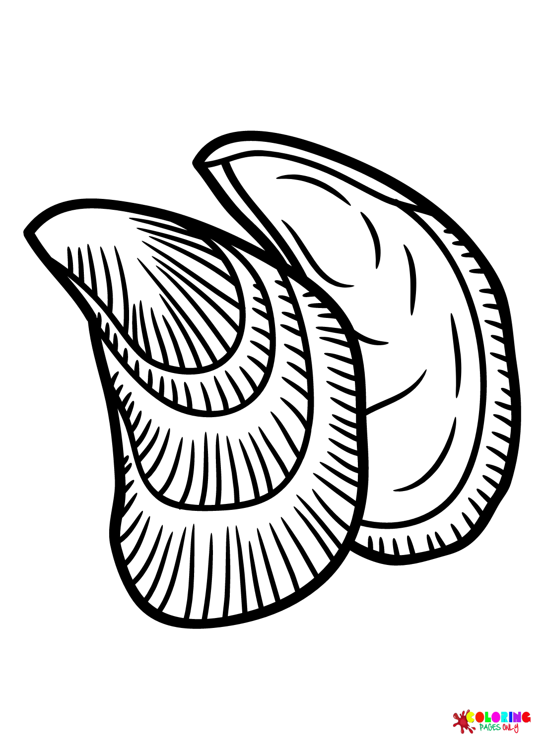 Hooked Mussel Coloring Page
