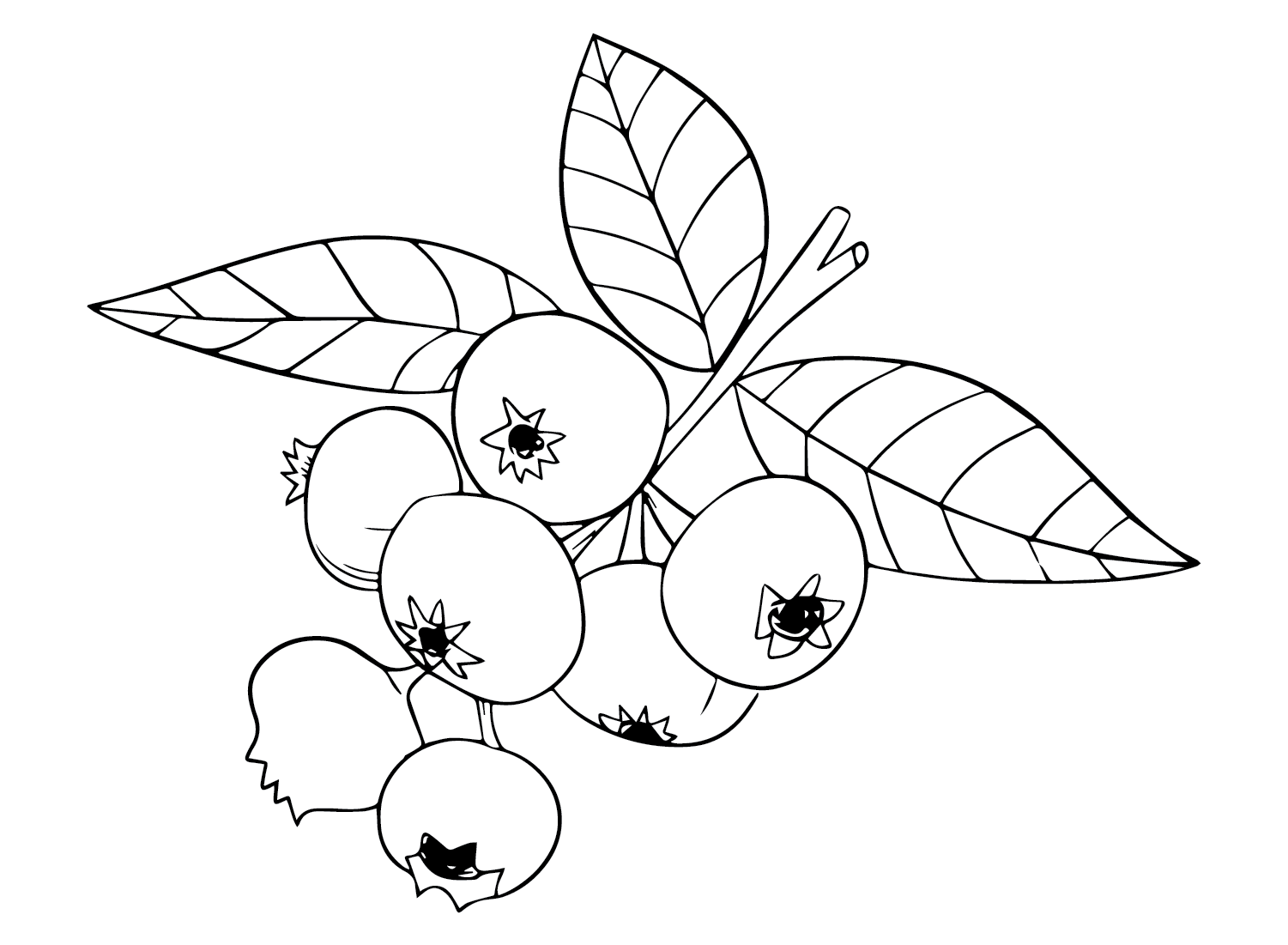 Huckleberry Free Coloring Page