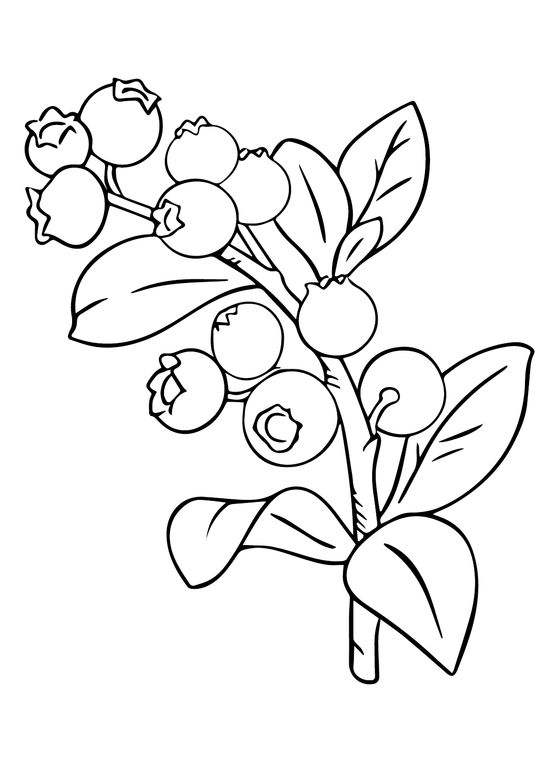 Huckleberry Images Coloring Page
