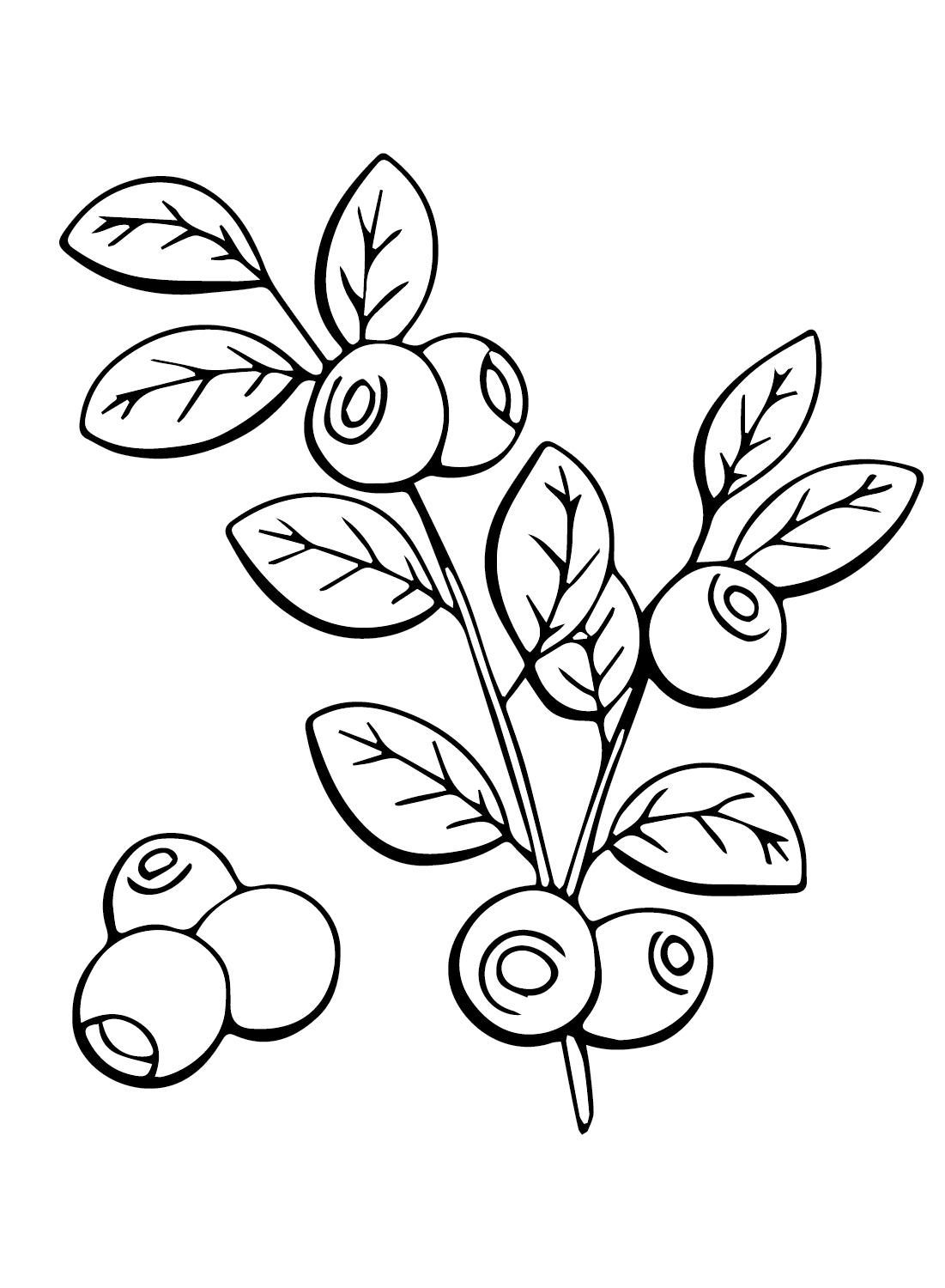 Huckleberry for Kids Coloring Page