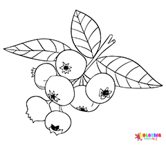 Huckleberry Coloring Pages