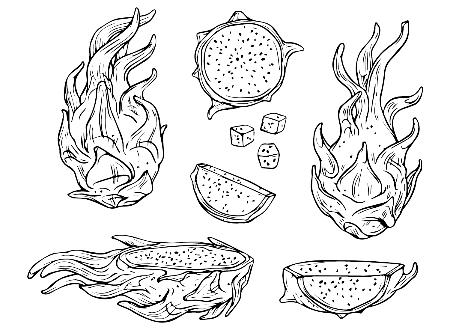 Images Dragon Fruit Coloring Page