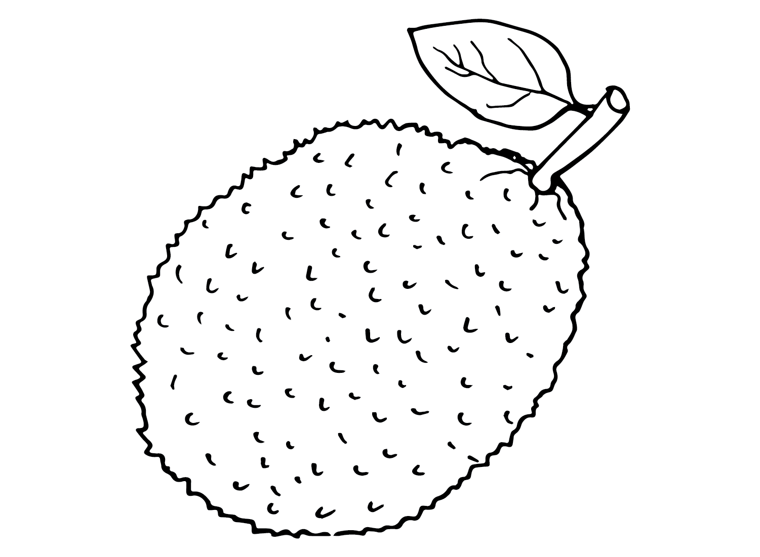 Images Jackfruit from Jackfruit