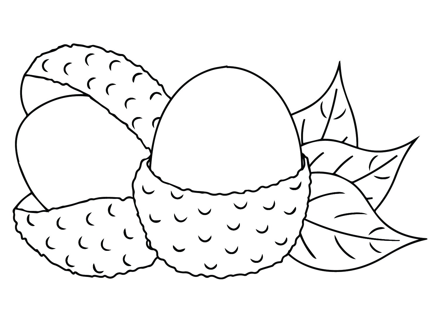 Images Lychee Coloring Page