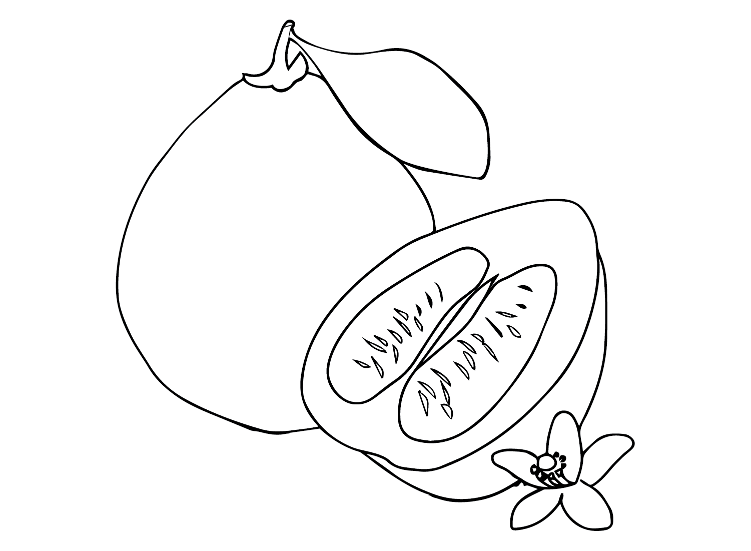 Images Pomelo Coloring Page