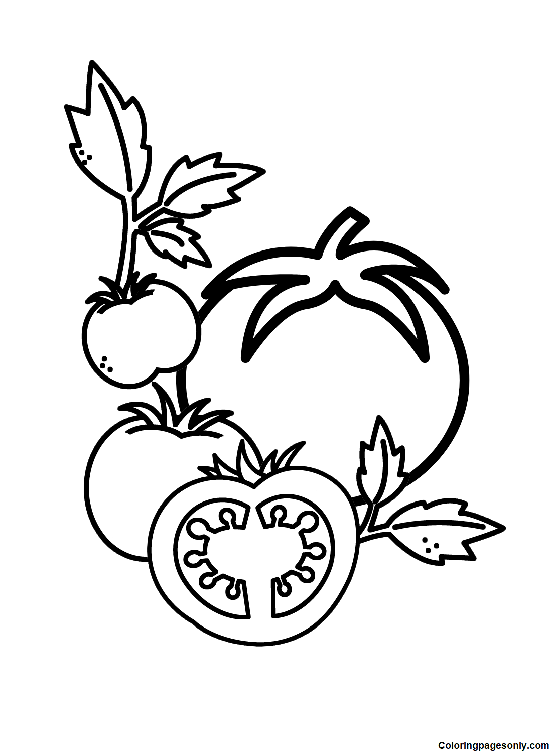 52 Free Printable Tomato Coloring Pages 52 Free Printable Tomato Coloring Pages
