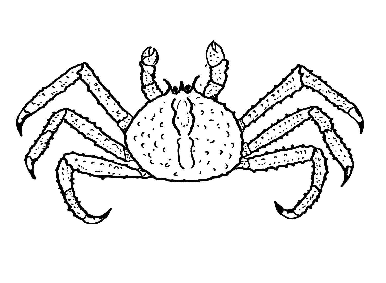 King Crab Images Coloring Page