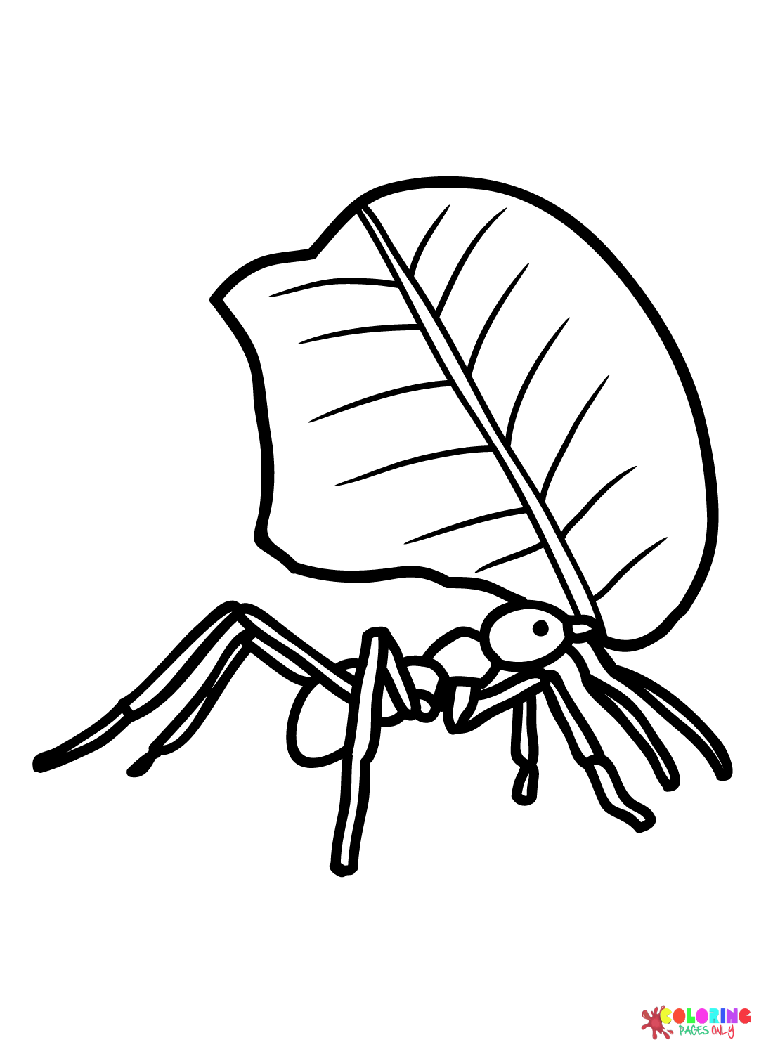 Leafcutter Ant Coloring Page