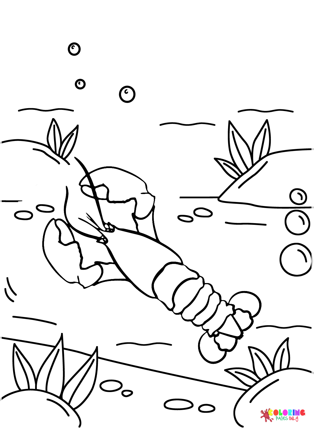 Lobster Pictures Coloring Page
