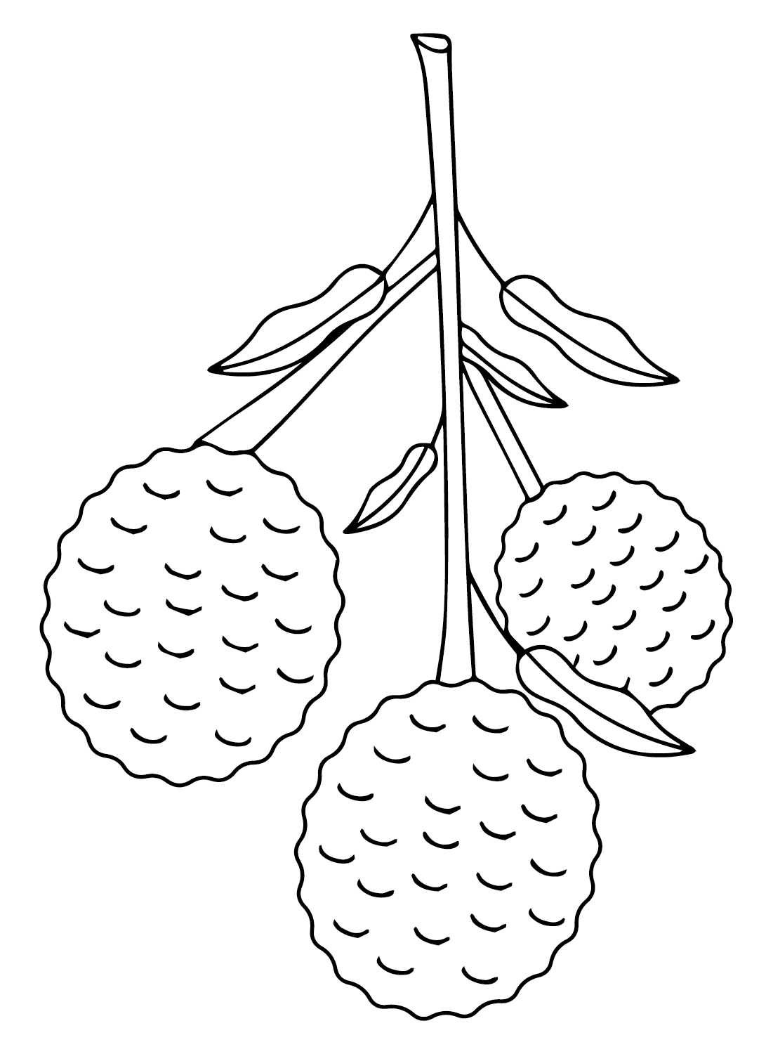 Lychee Drawing Coloring Page