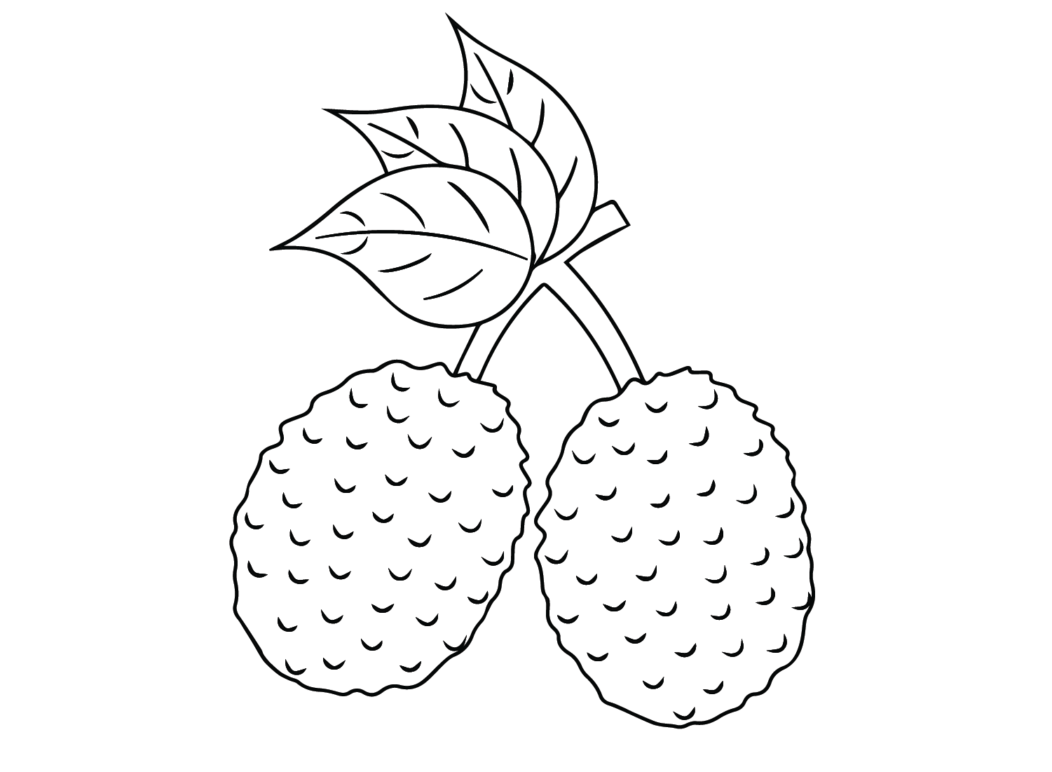Lychee Fruit Coloring Page