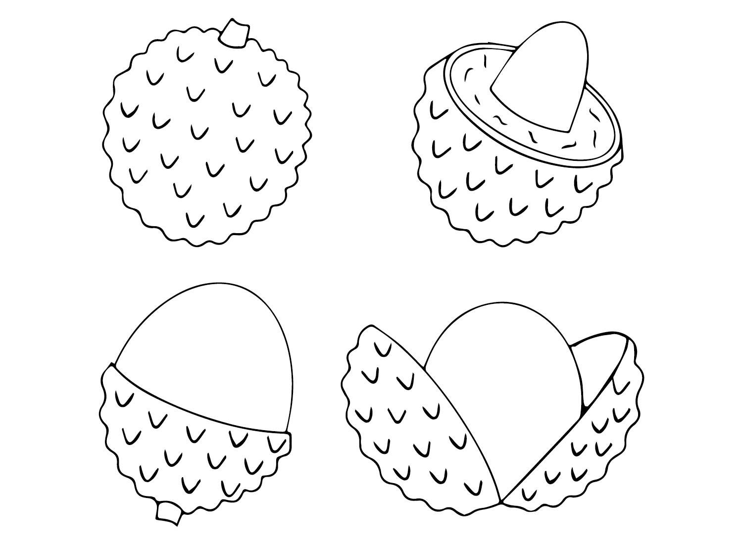 Lychee Images Coloring Page