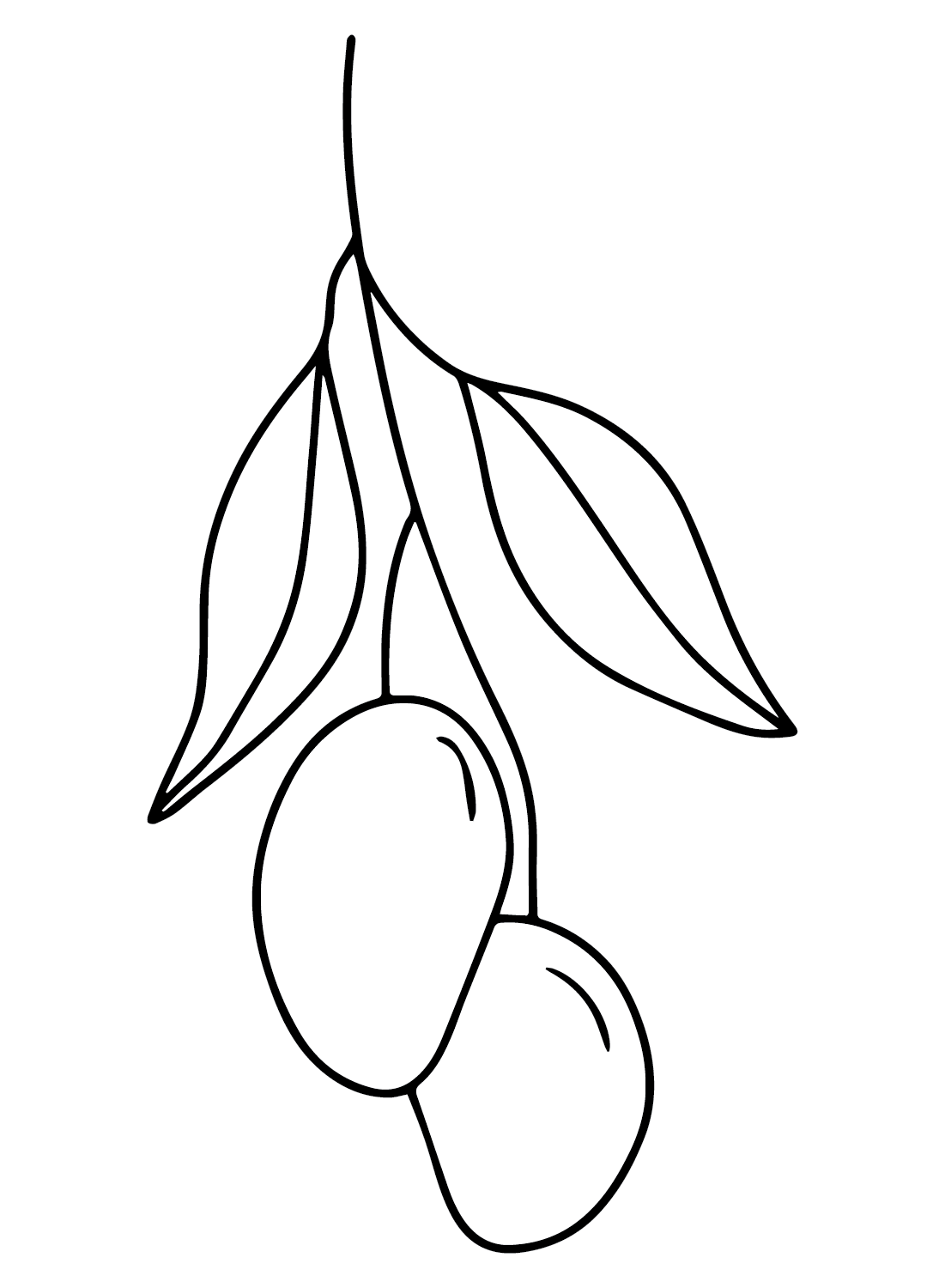 Big mango sketch art design - Designsketch.in