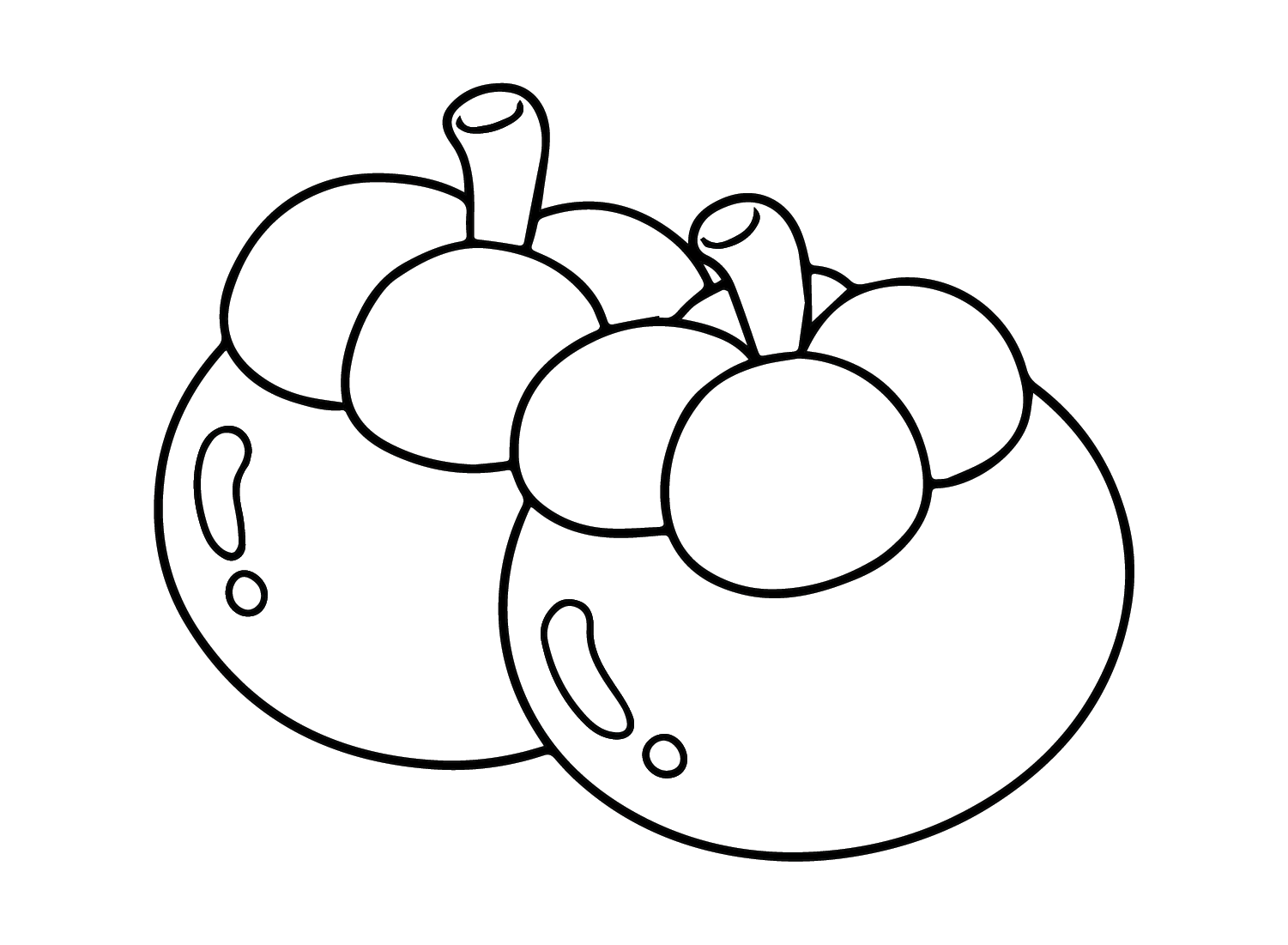 Desenho de Mangostão de Mangostão