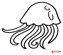 Mollusks Coloring Pages