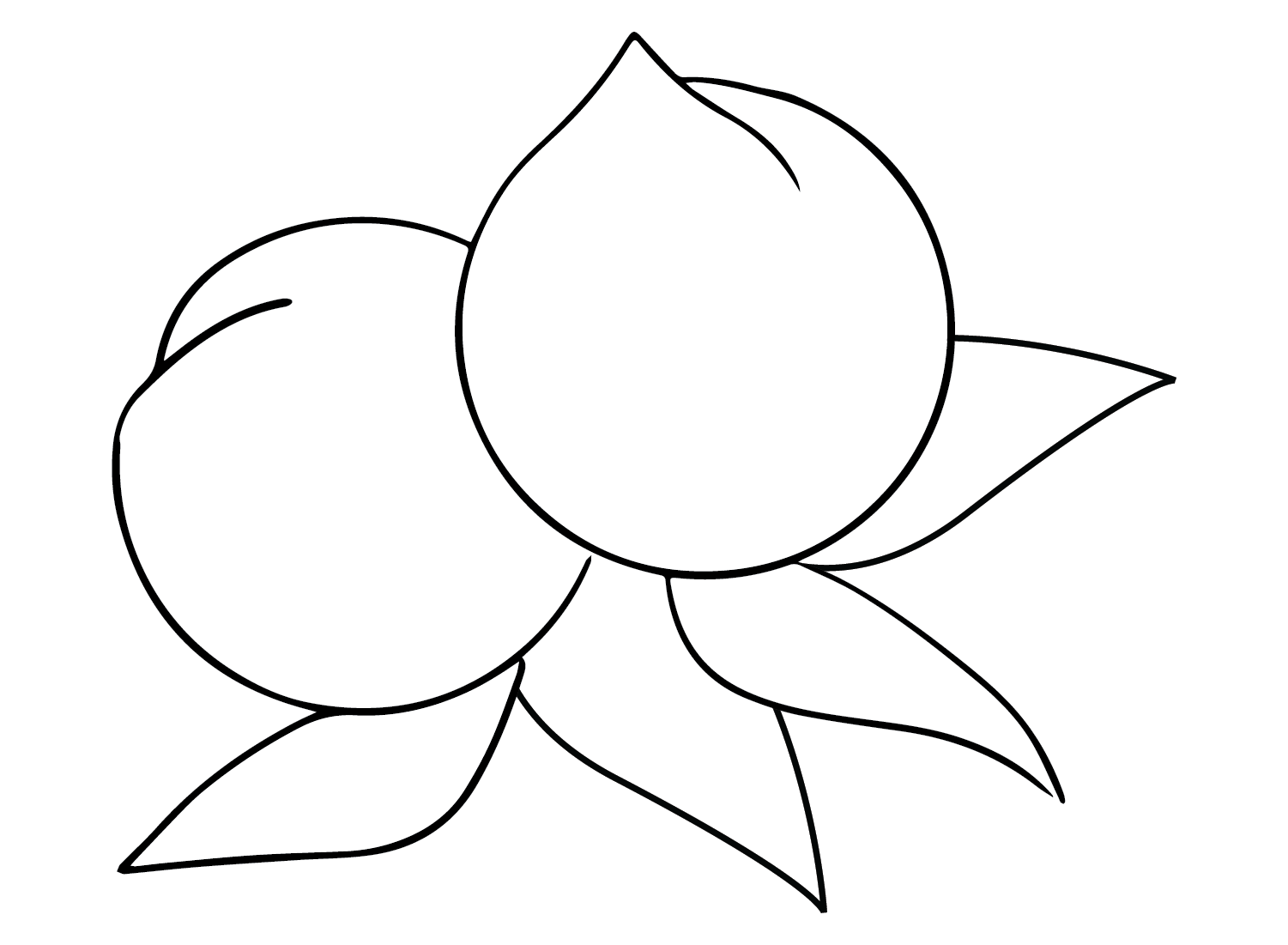 Nectarine Crisp Coloring Page