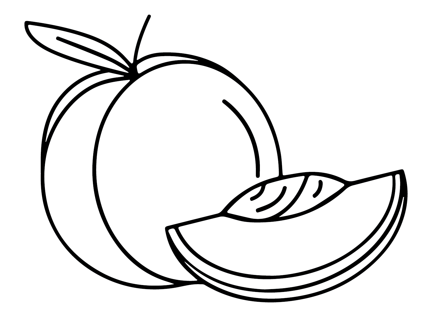 Nectarine Fruit Coloring Page