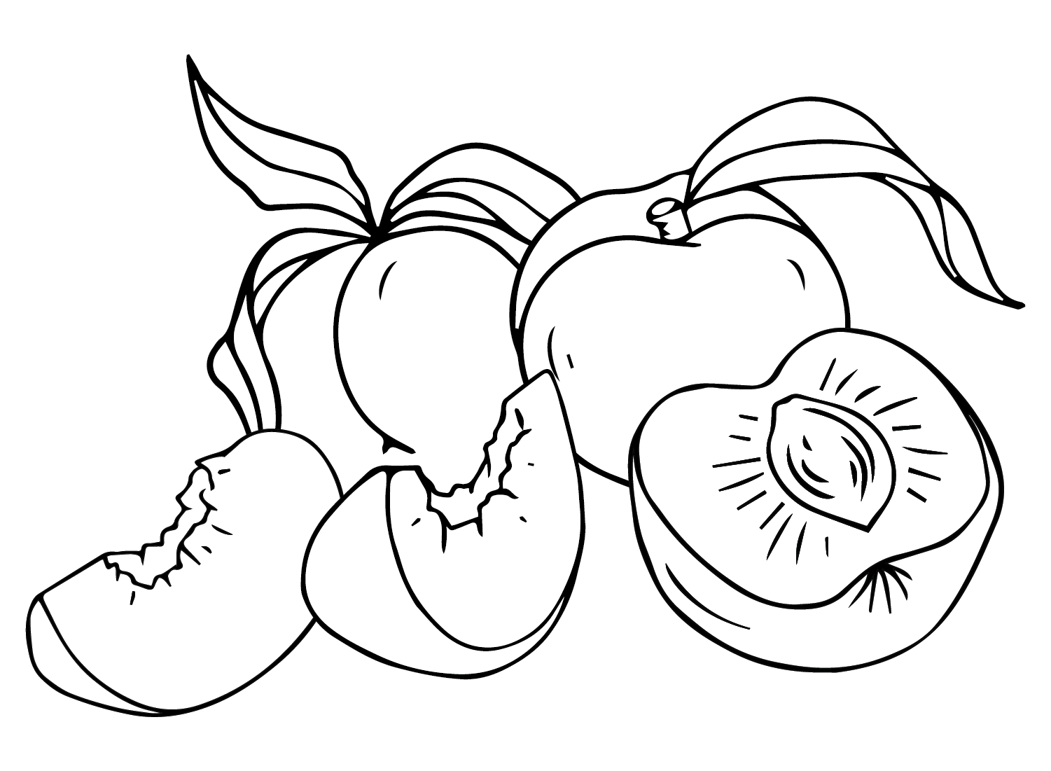 Nectarines Fruit Coloring Page