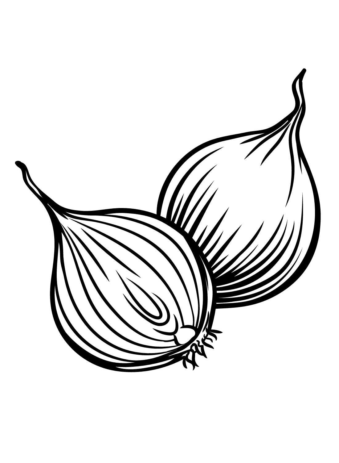 Cipolla da stampare da Onion