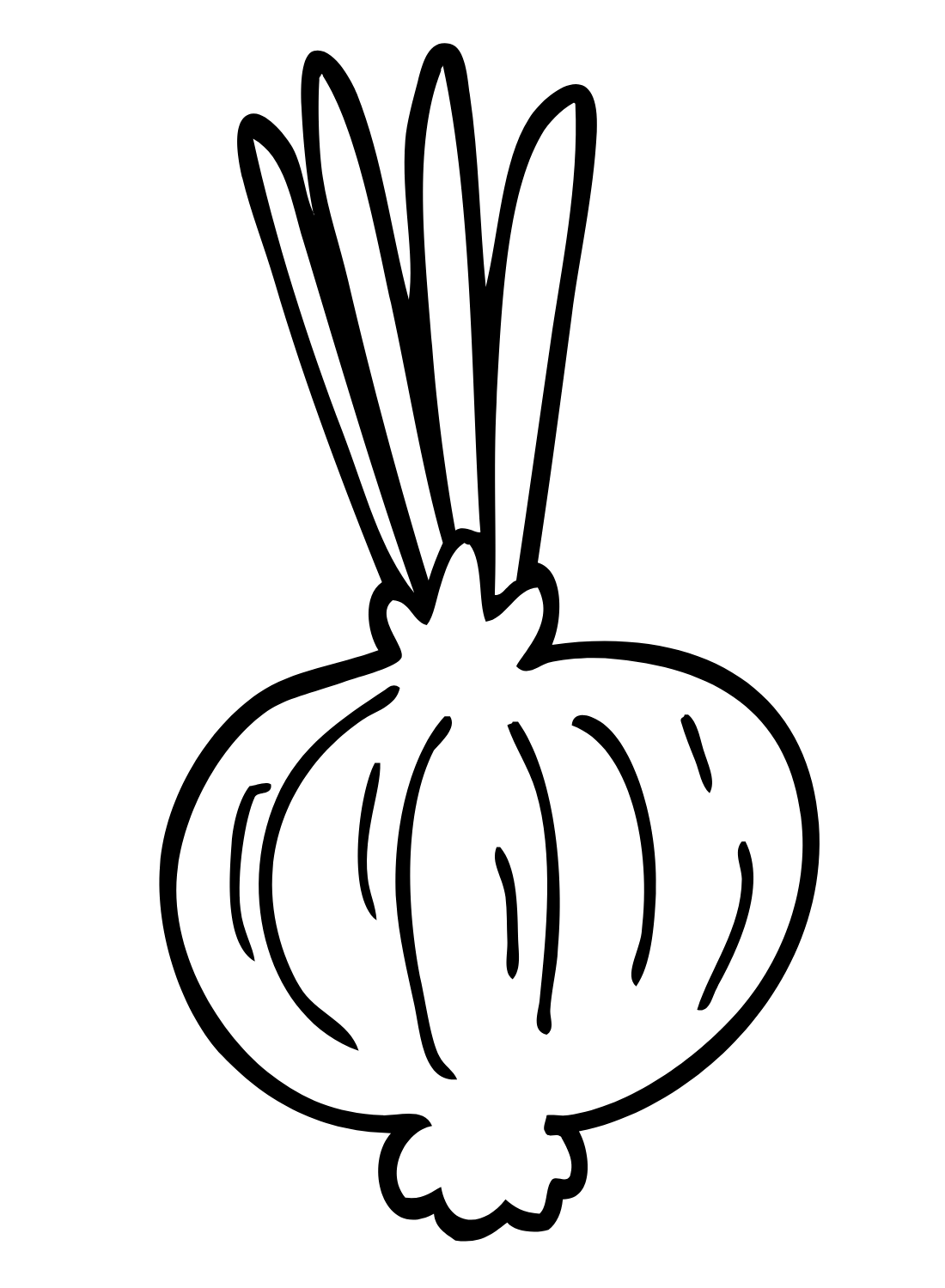 Onion with Sprout Coloring Page