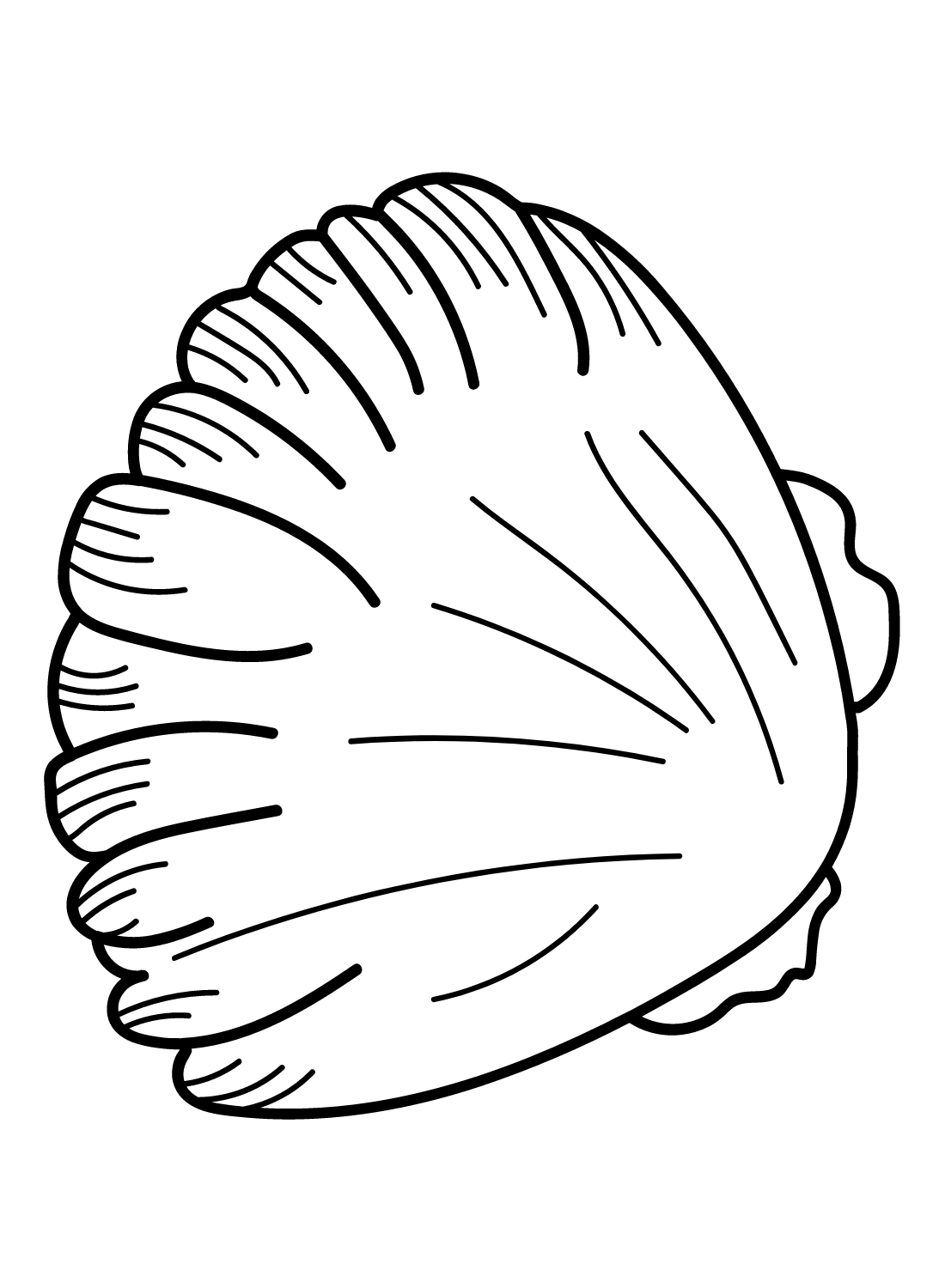 Painted Scallop Shells from Scallop