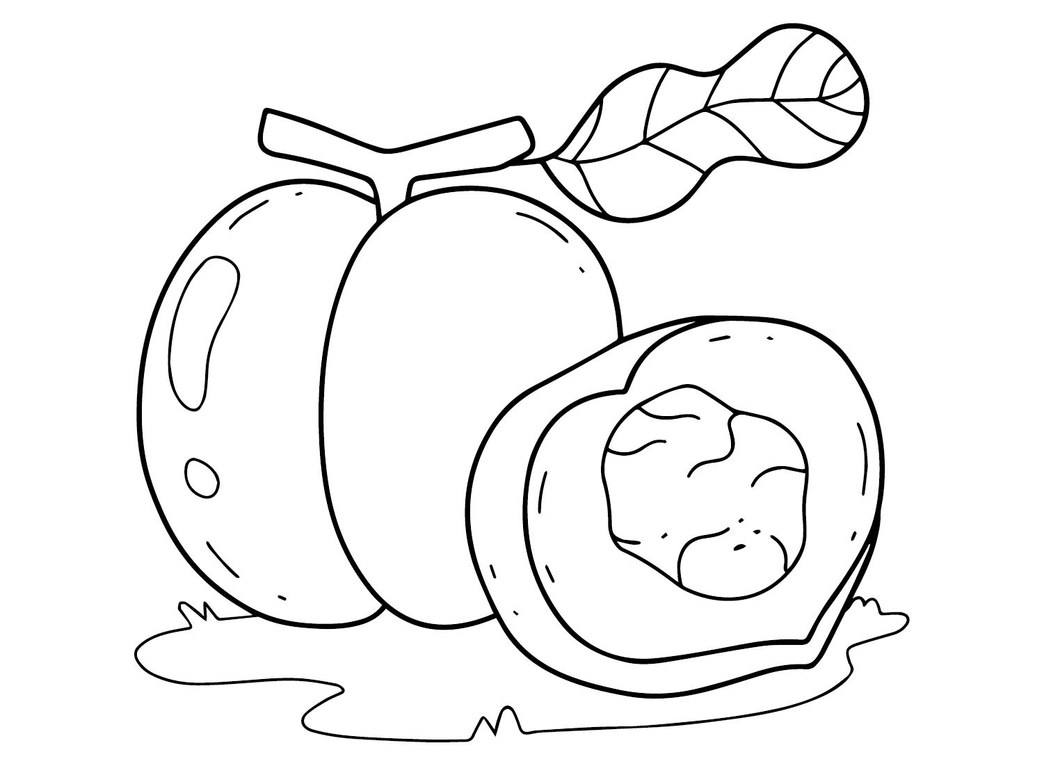 Peach Nectarine Coloring Page