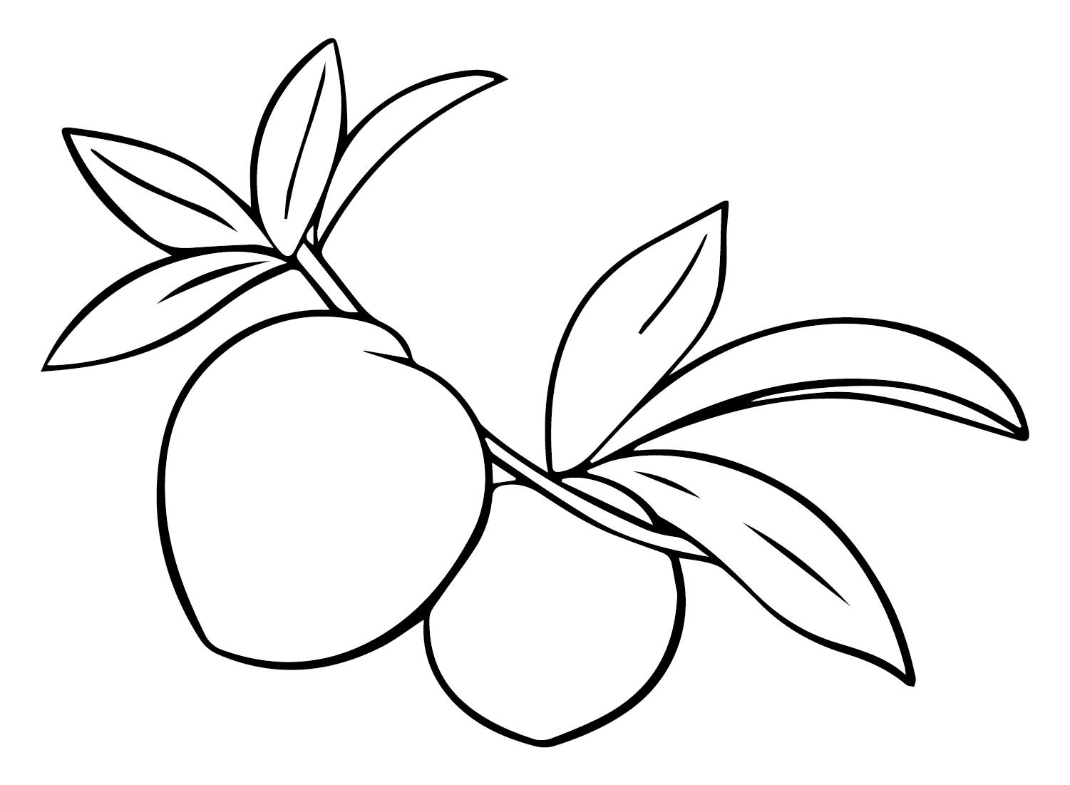 Персики для печати из персиков