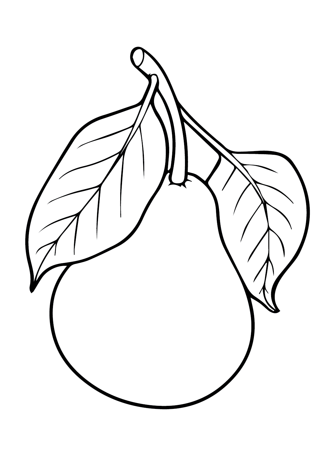 Pears Pictures Coloring Page