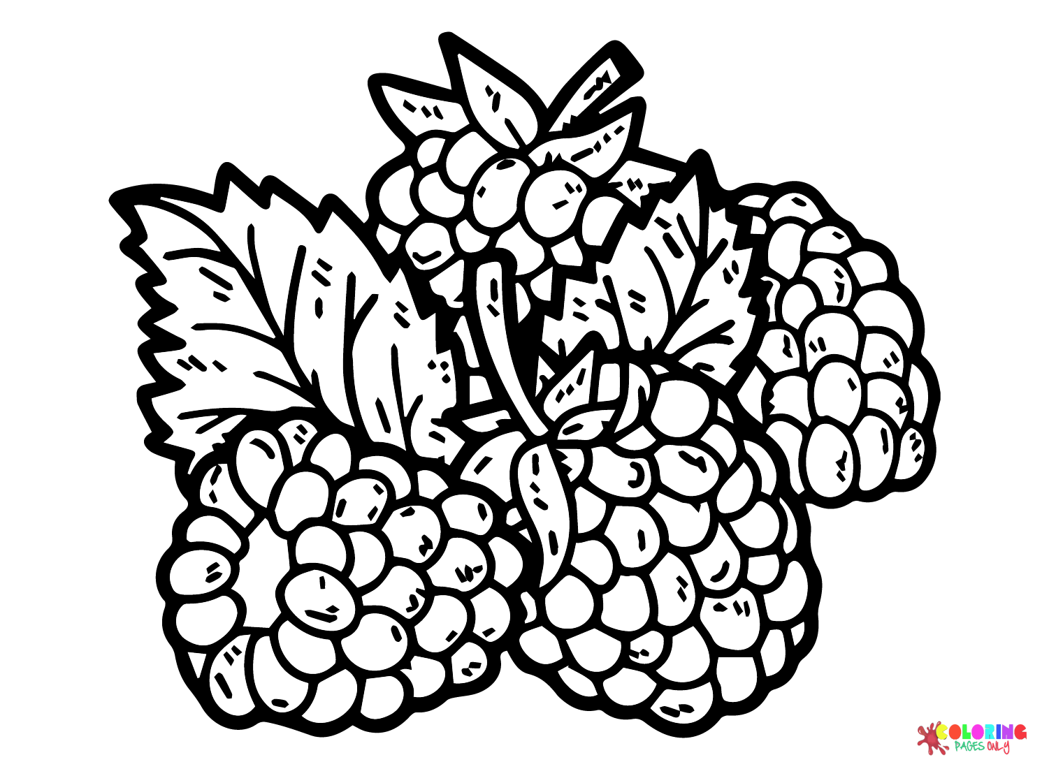 Pictures Blackberry Coloring Page