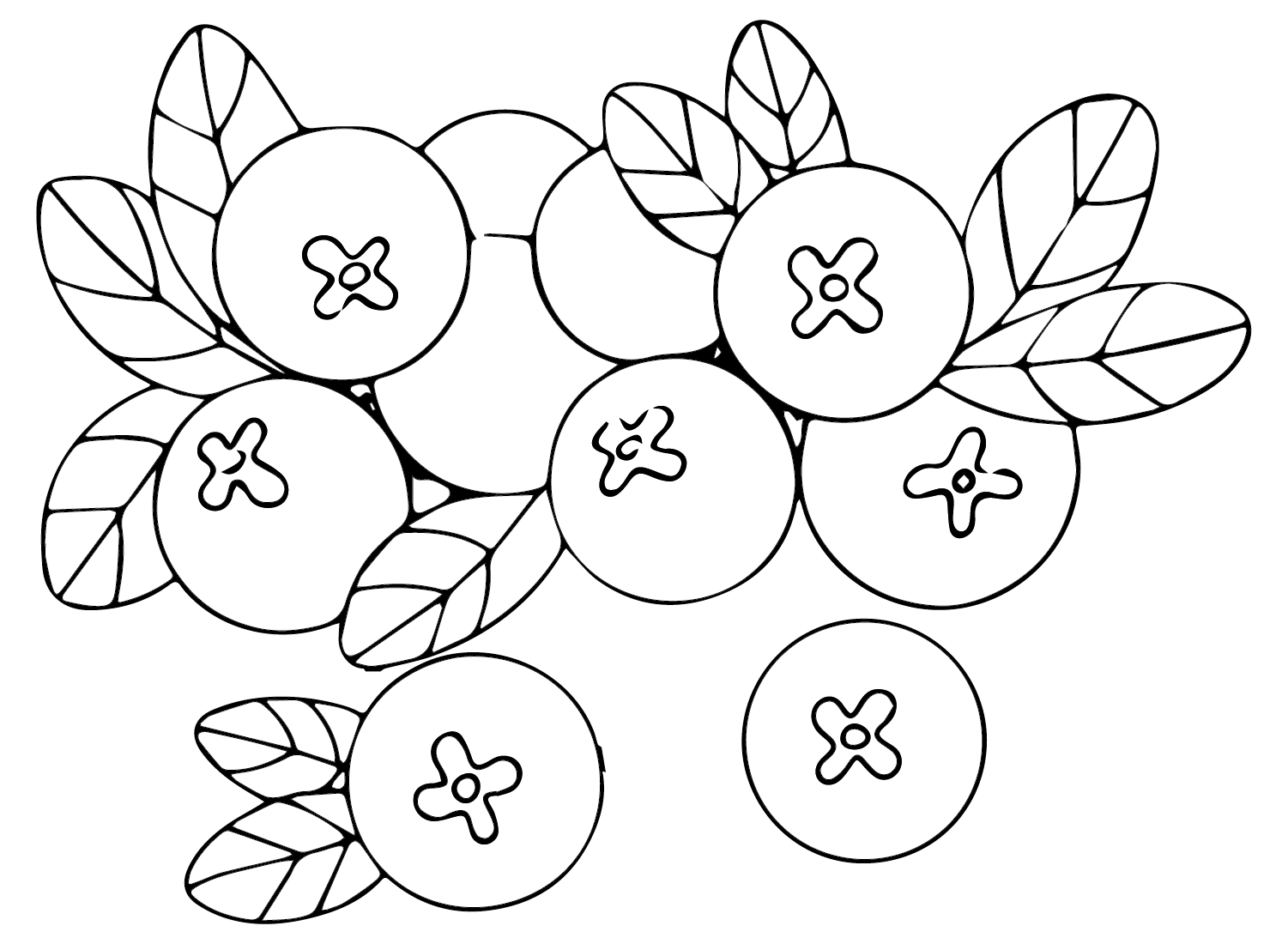 Pictures Cranberry Coloring Page