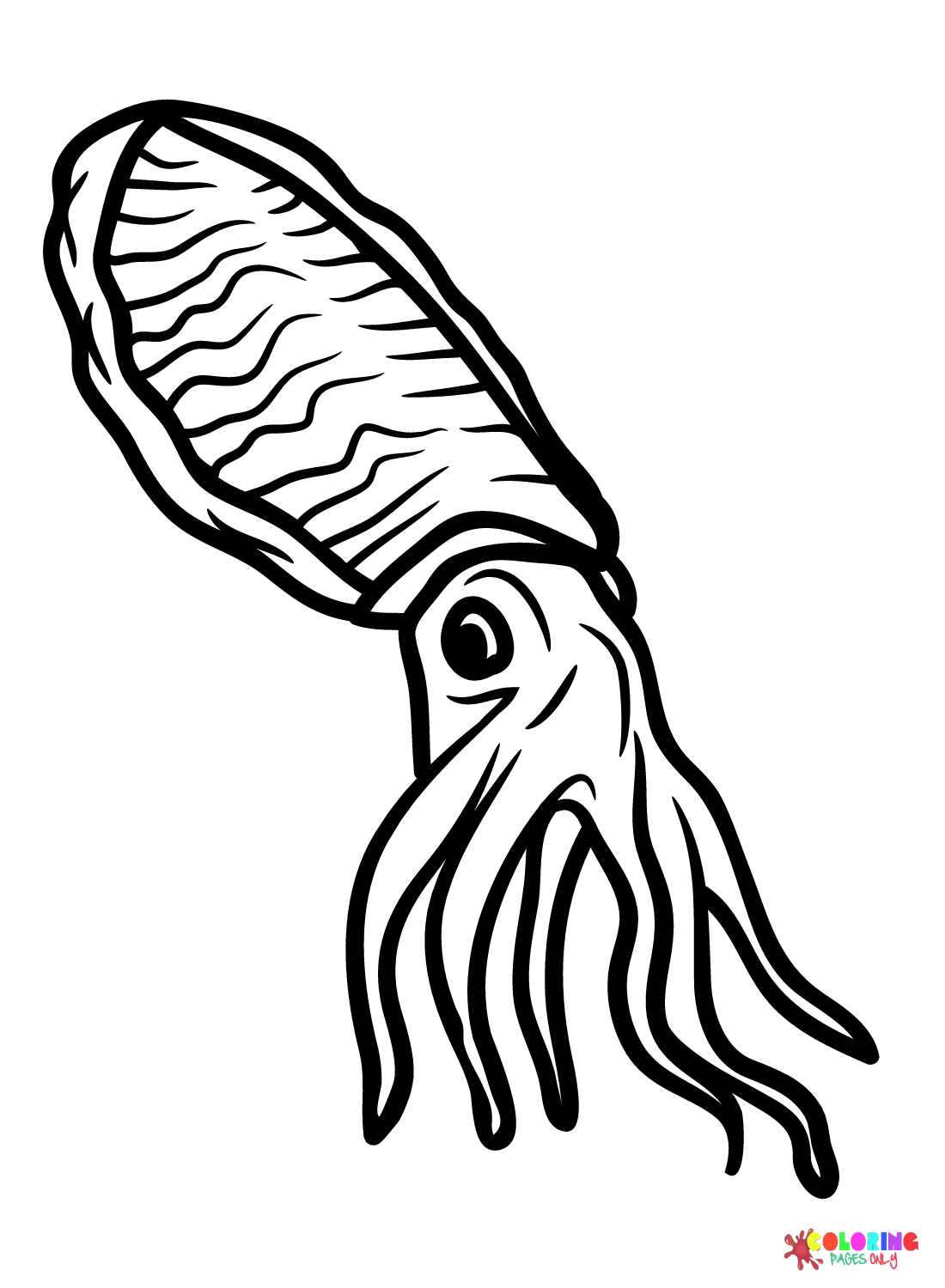 Pictures Cuttlefish Coloring Page