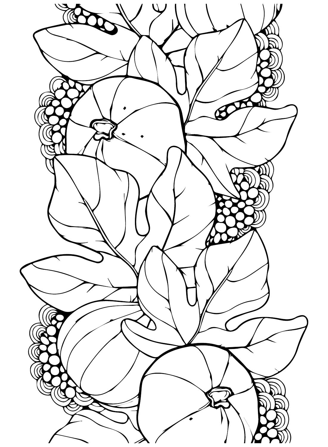 Pictures Figs Coloring Page