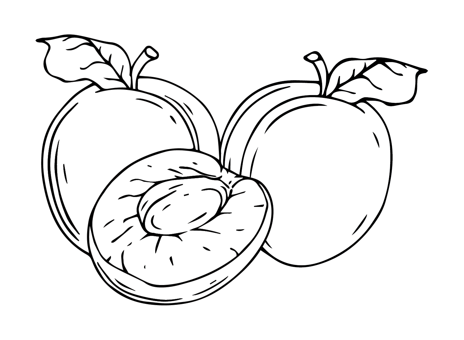 Pictures Nectarine Coloring Page