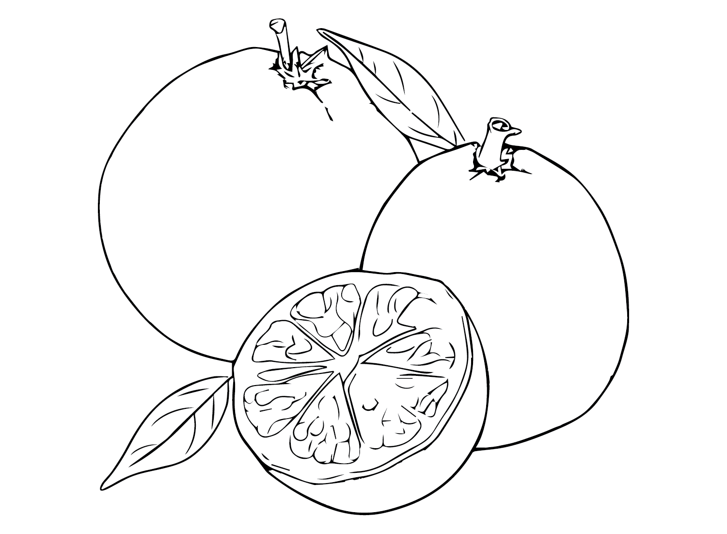 Pictures Pomelo Coloring Page