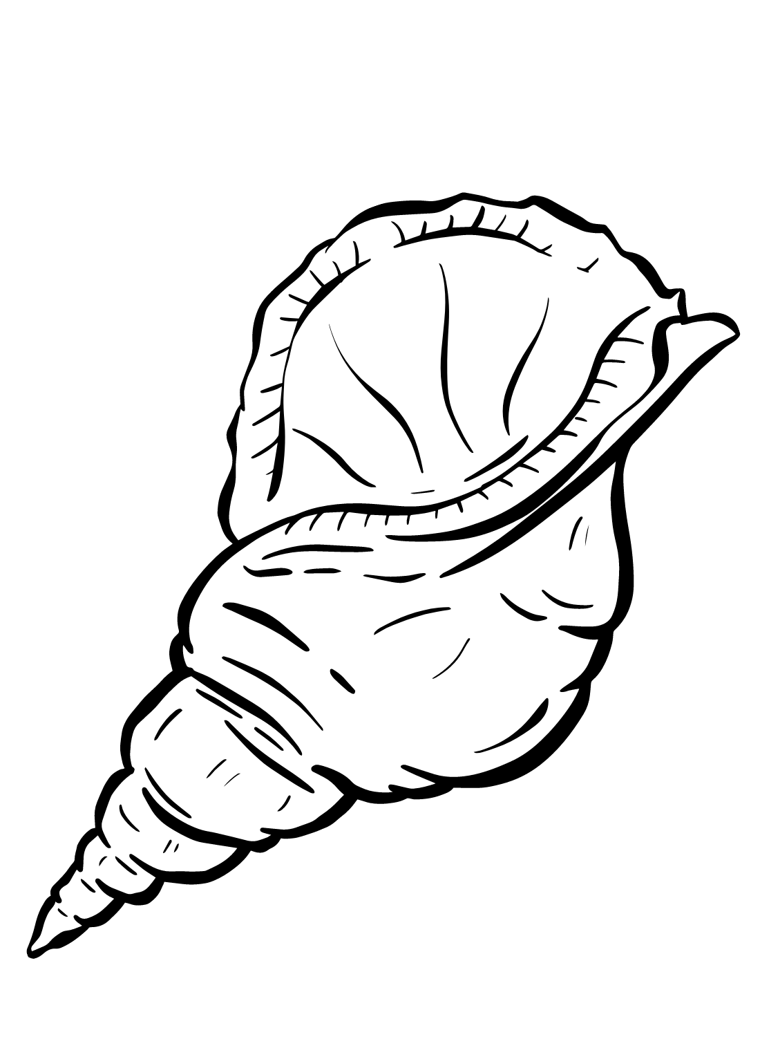 Pictures Sea Snail Coloring Page