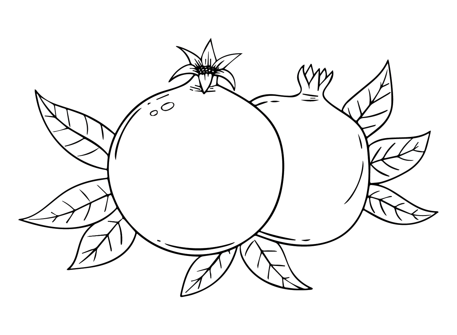 Pomegranate Printable Coloring Page