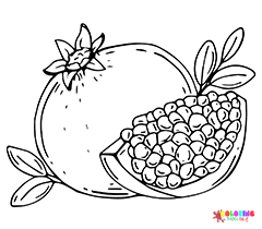 Pomegranate Coloring Pages