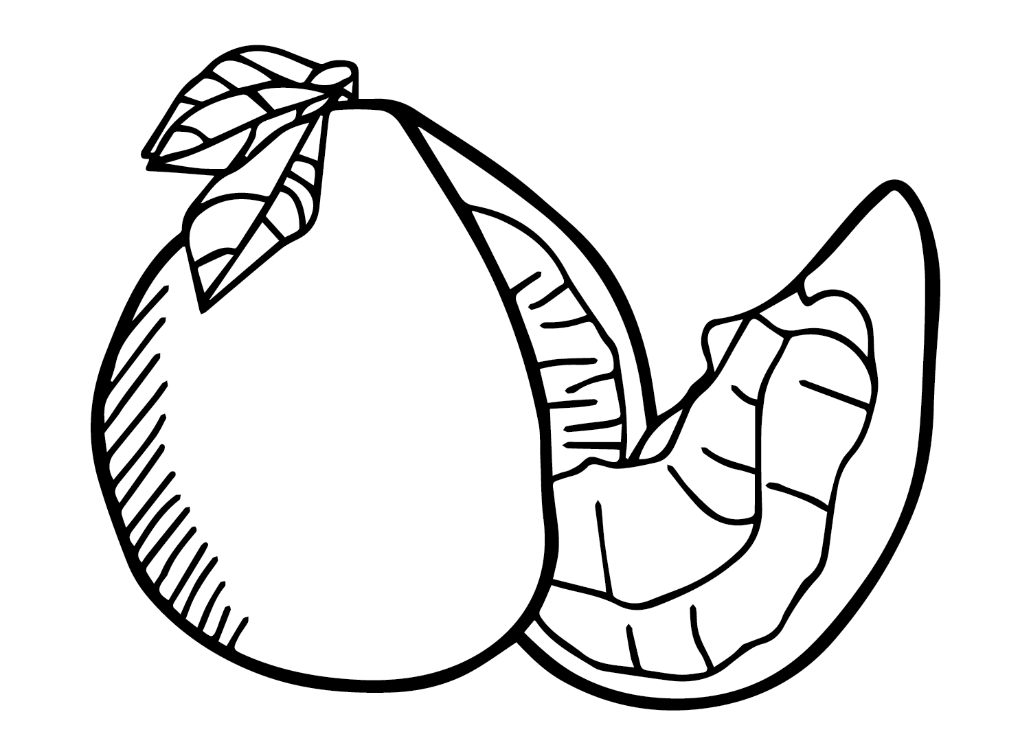 Pomelo color Sheets Coloring Page