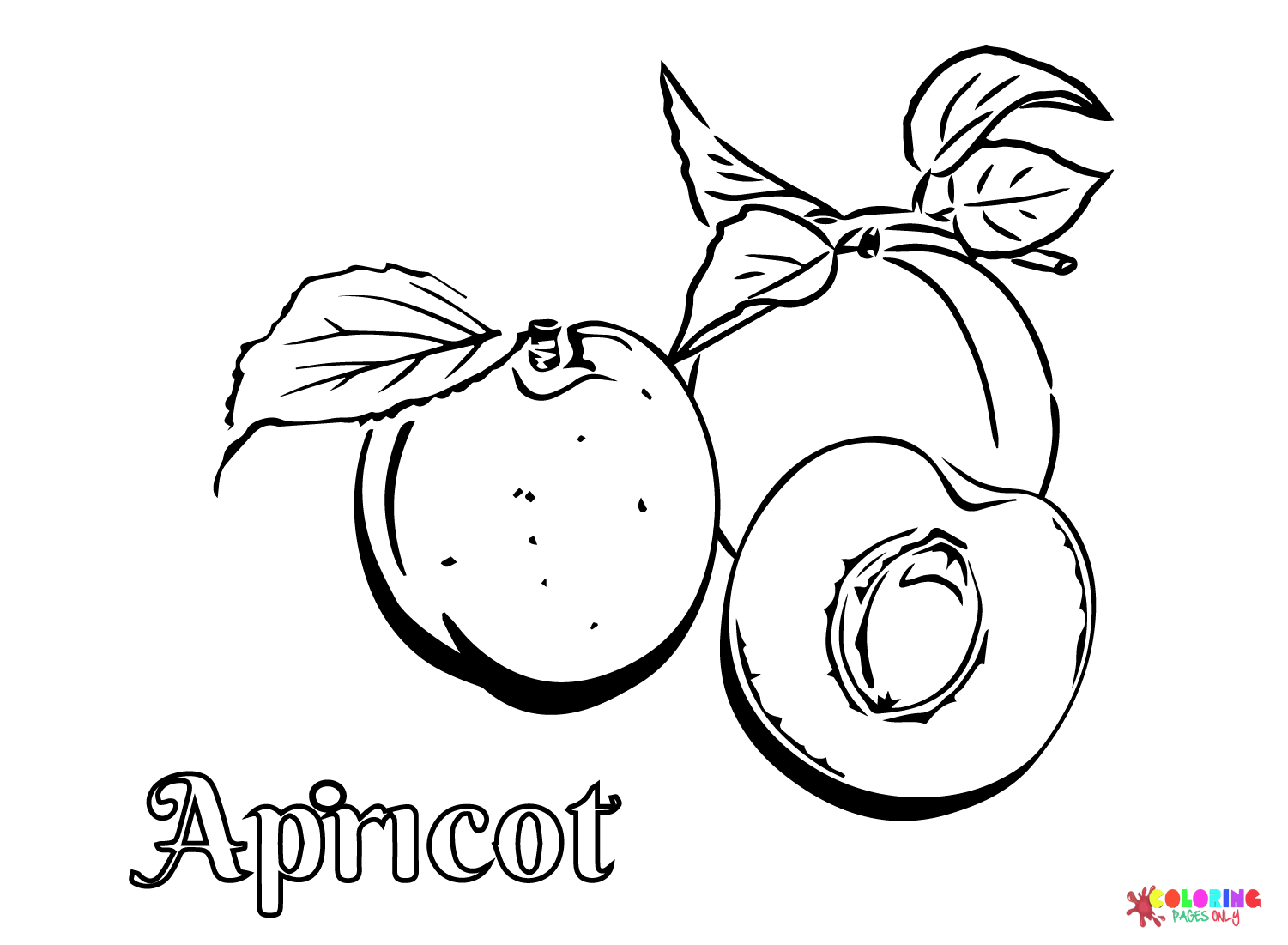 Print Abrikoos Fruit van Abrikoos